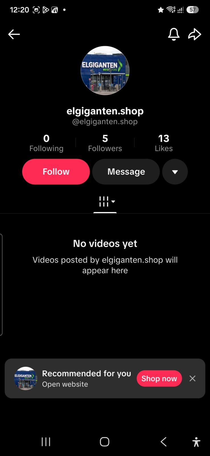 Fake elgiganten